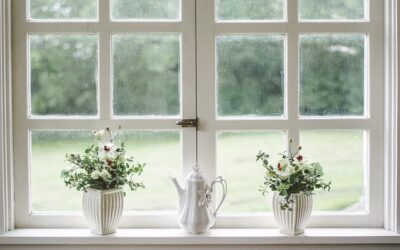 Hvilken type vindue dækker dit behov?
